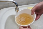 Качество воды определит специалист